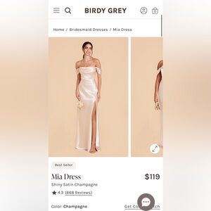 Birdy Grey Mia Convertible Dress in Champagne 🥂💕